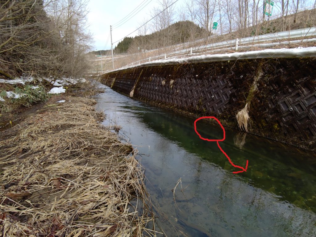 淵でバイトあり