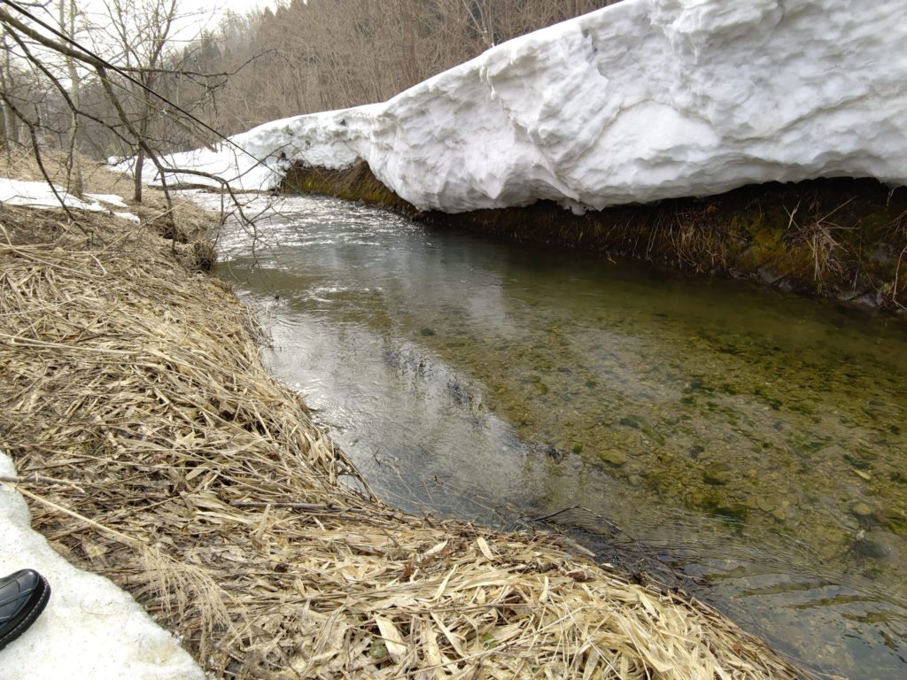 早春の渓流釣りにおけるポイント