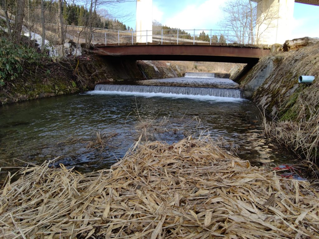 早春の渓流の落込み