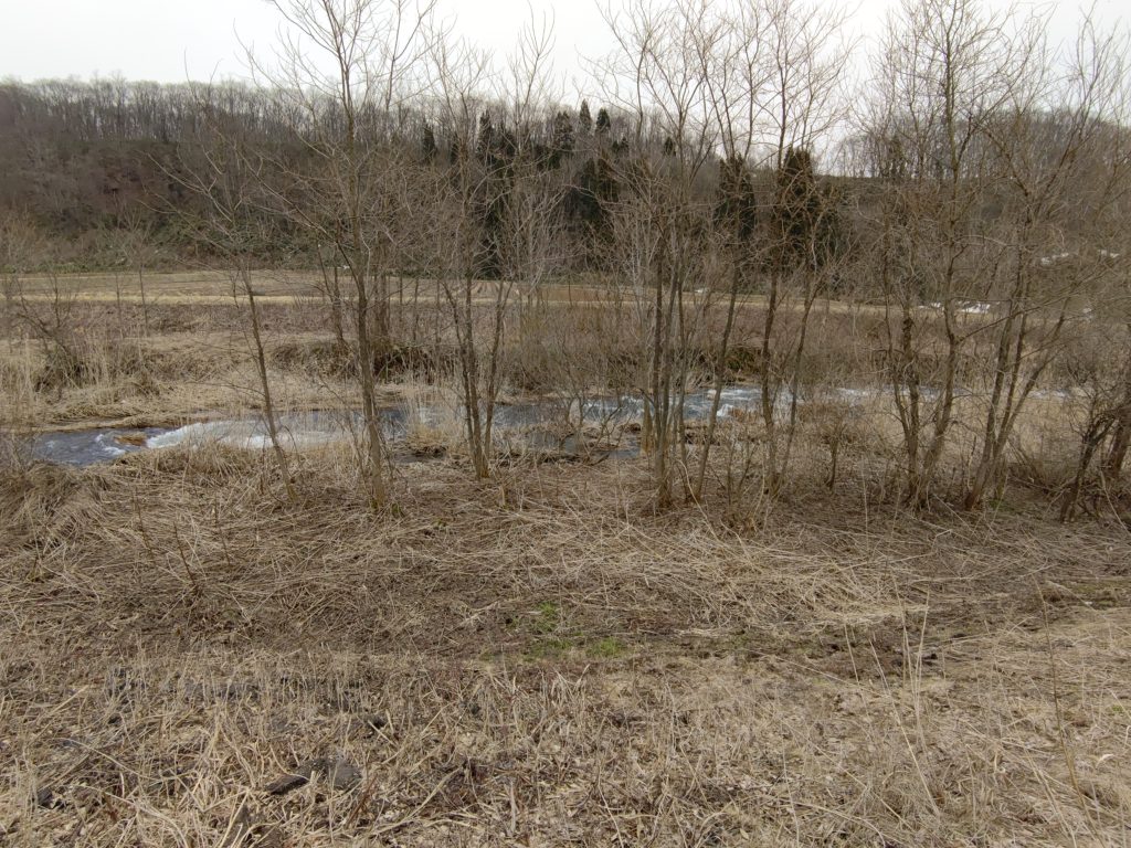 春先の水量の多い河川