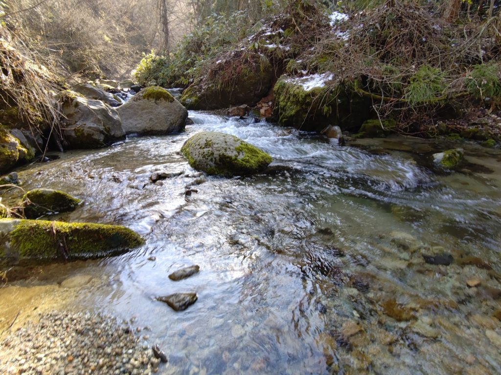 岩に囲まれた小さな渓流