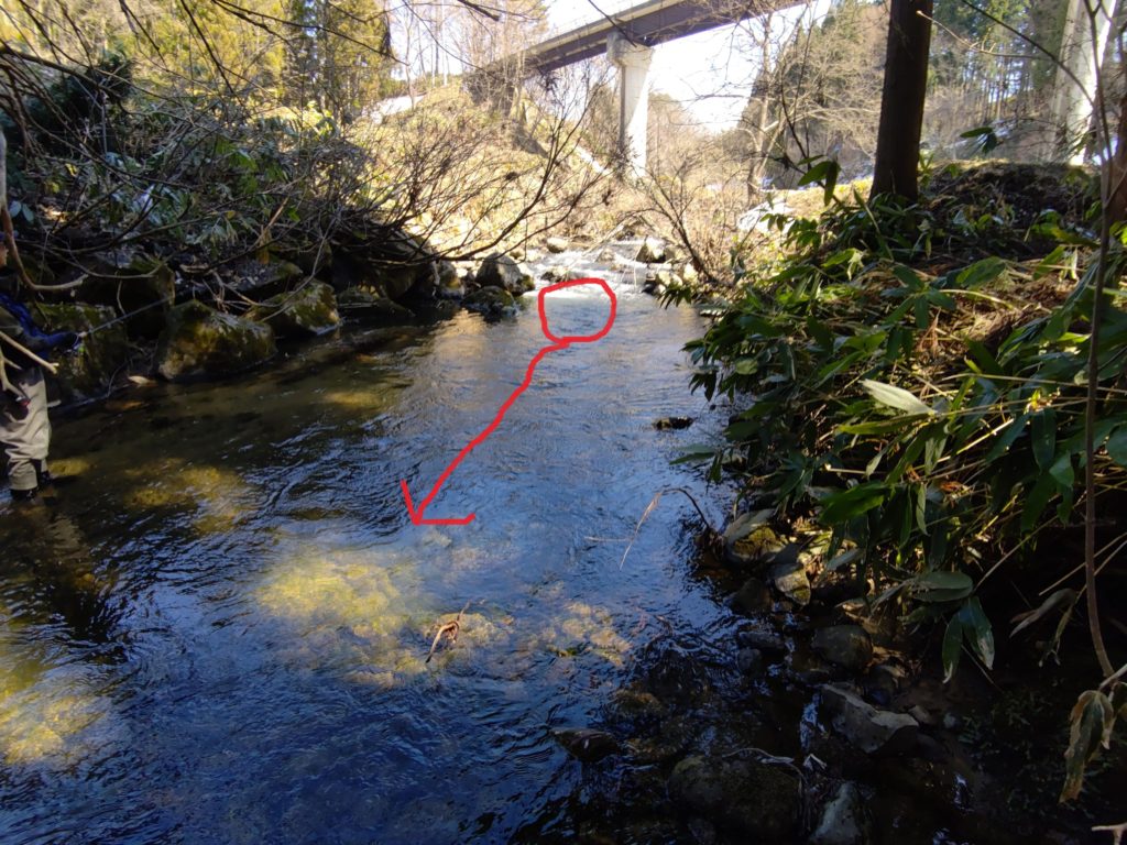 渓流での尺岩魚のバイト