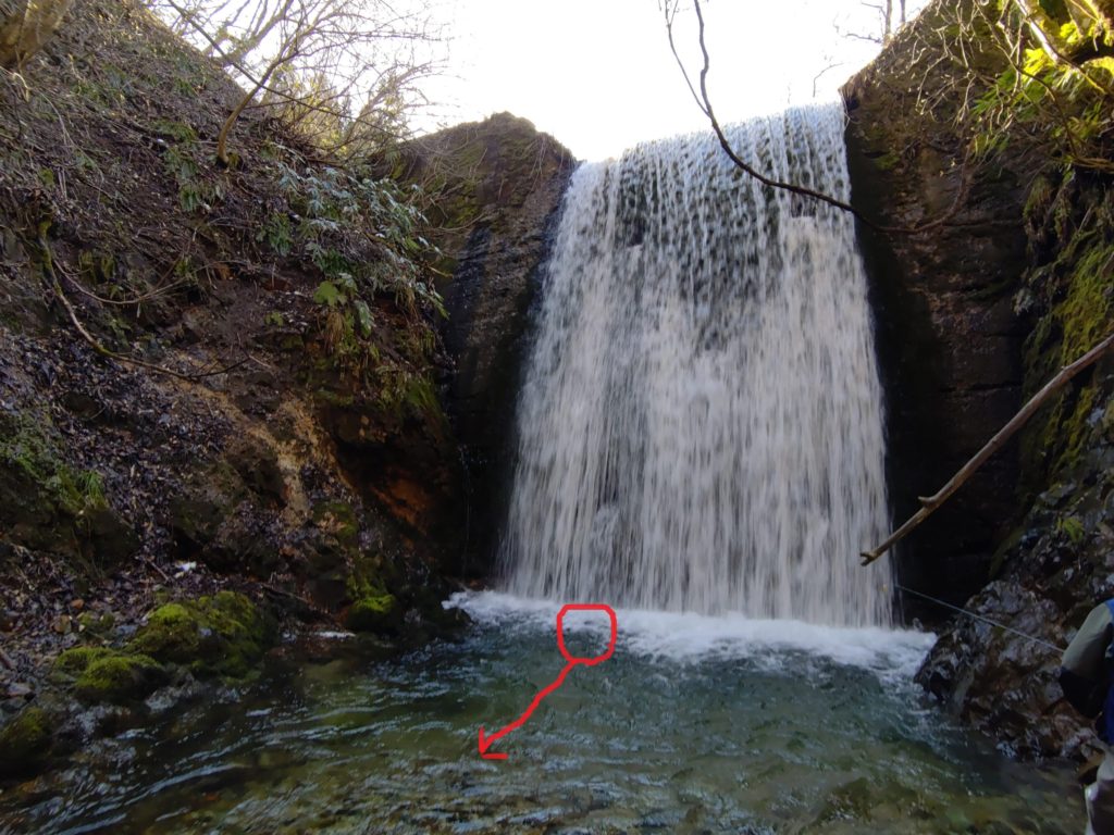 堰堤での岩魚ヒットコース