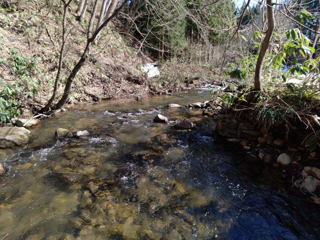 秋田県の早春の渓流での瀬尻部分