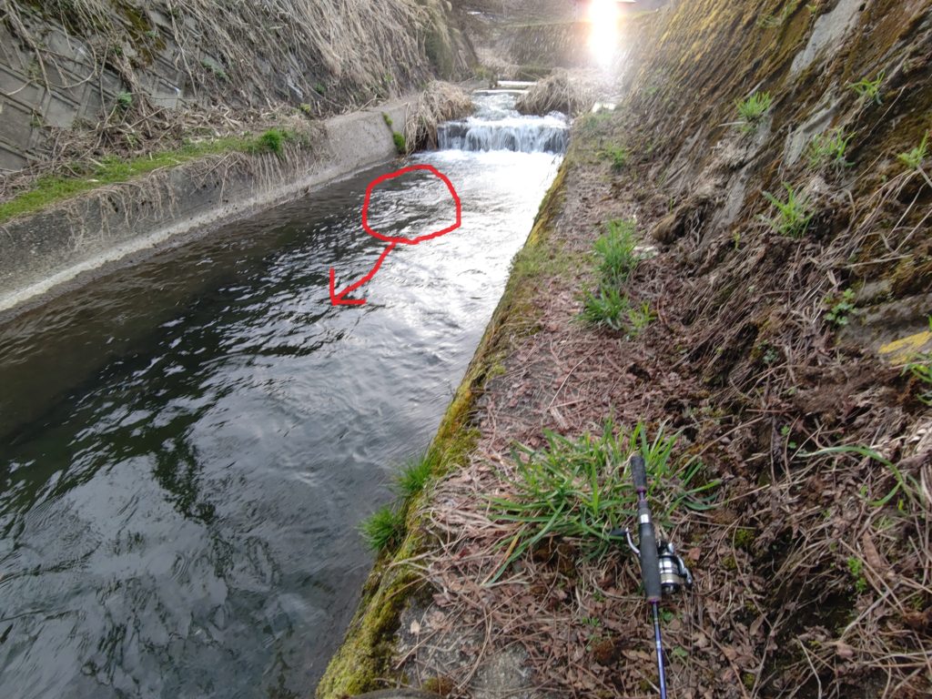 朝マズメでのヒットコース