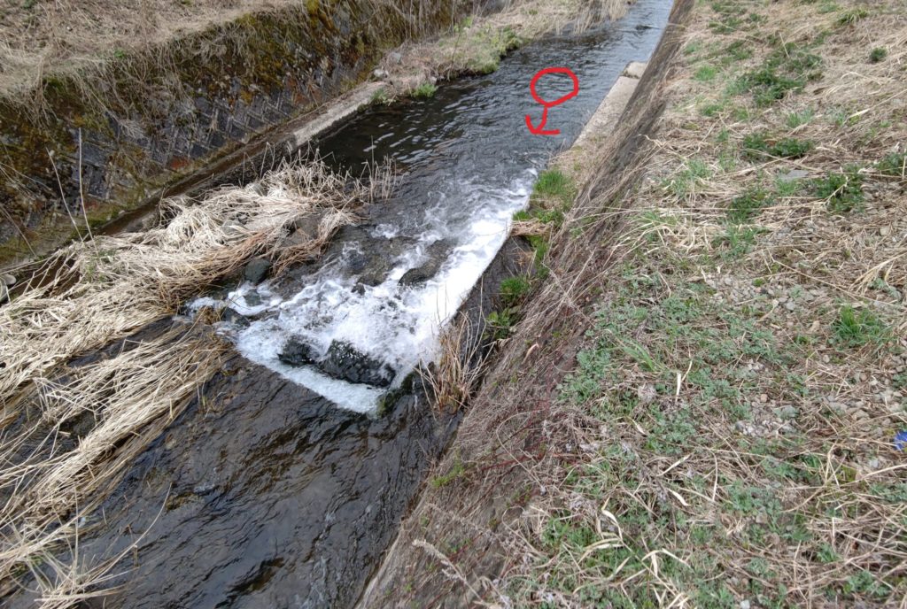 早朝の渓流でダウンキャストでバイト