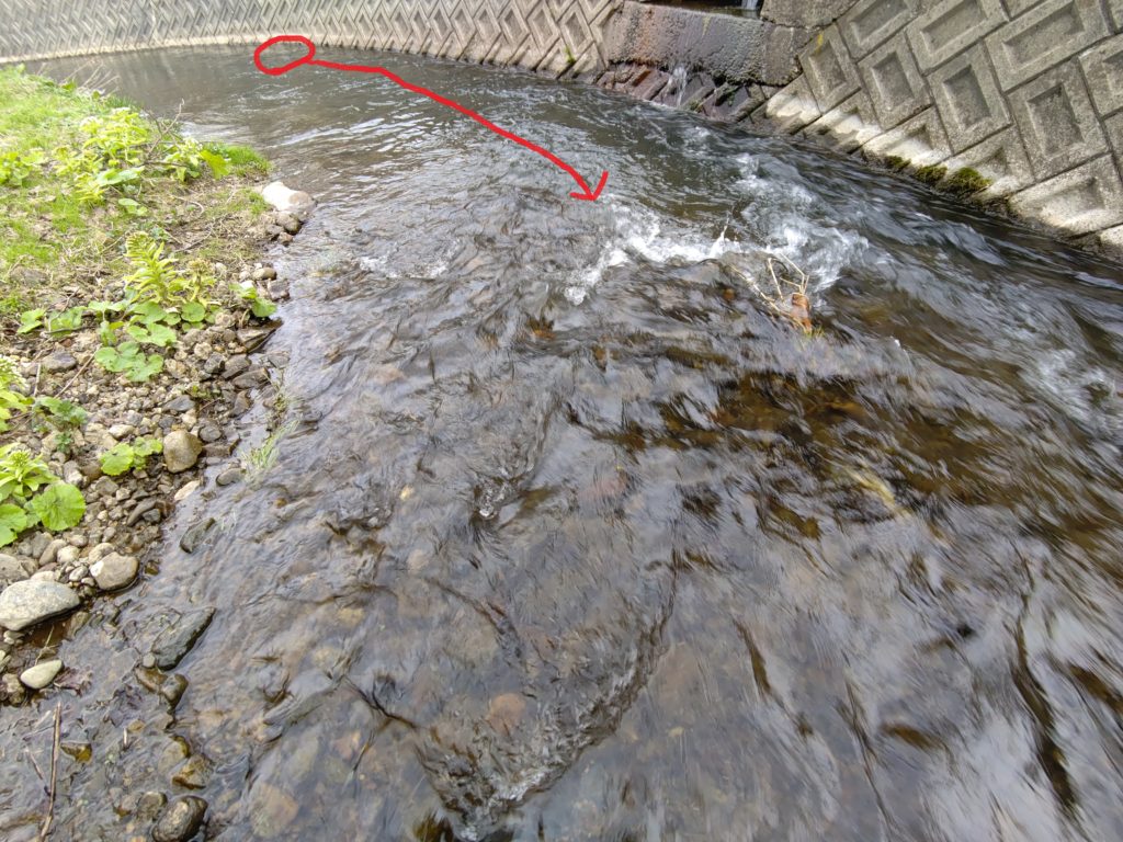 ダウンキャストから白泡付近で岩魚がヒット