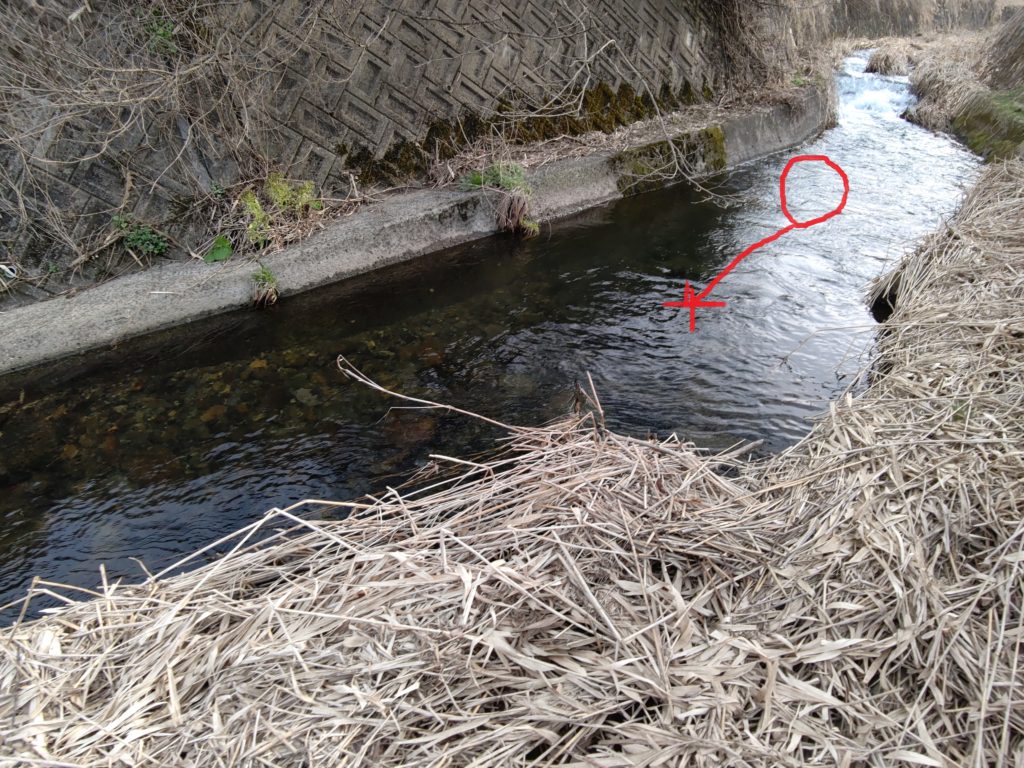 コンクリに囲まれた河川
