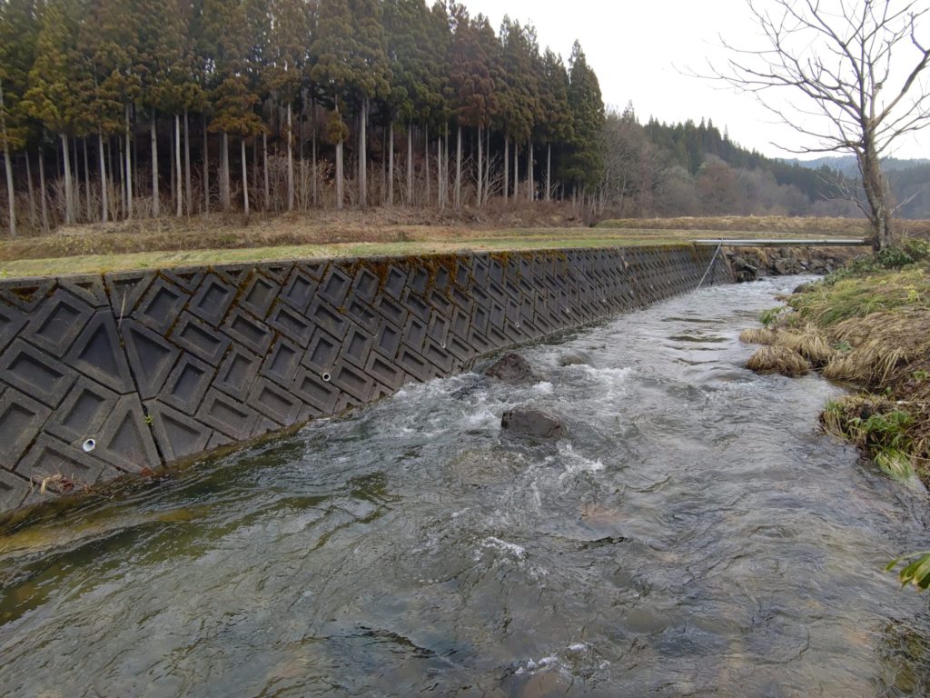 水量の多い4月の渓流