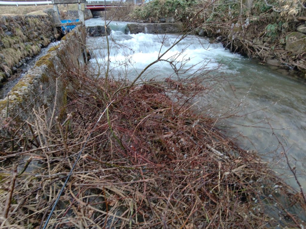 水量の多い落込み