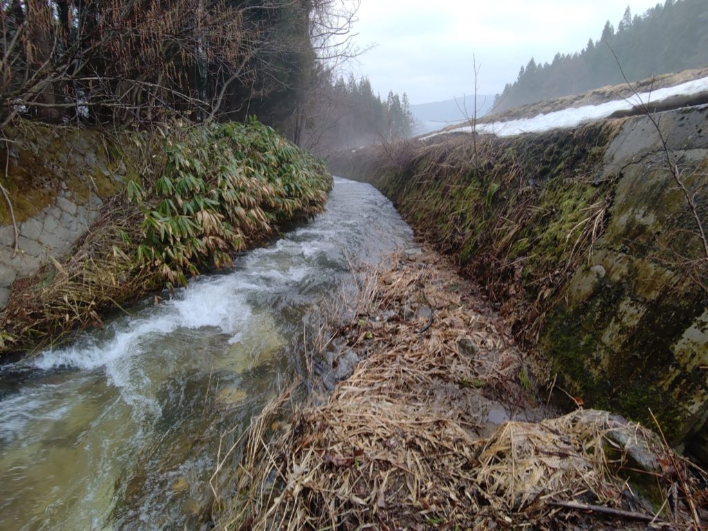 霧が立ち込める渓流