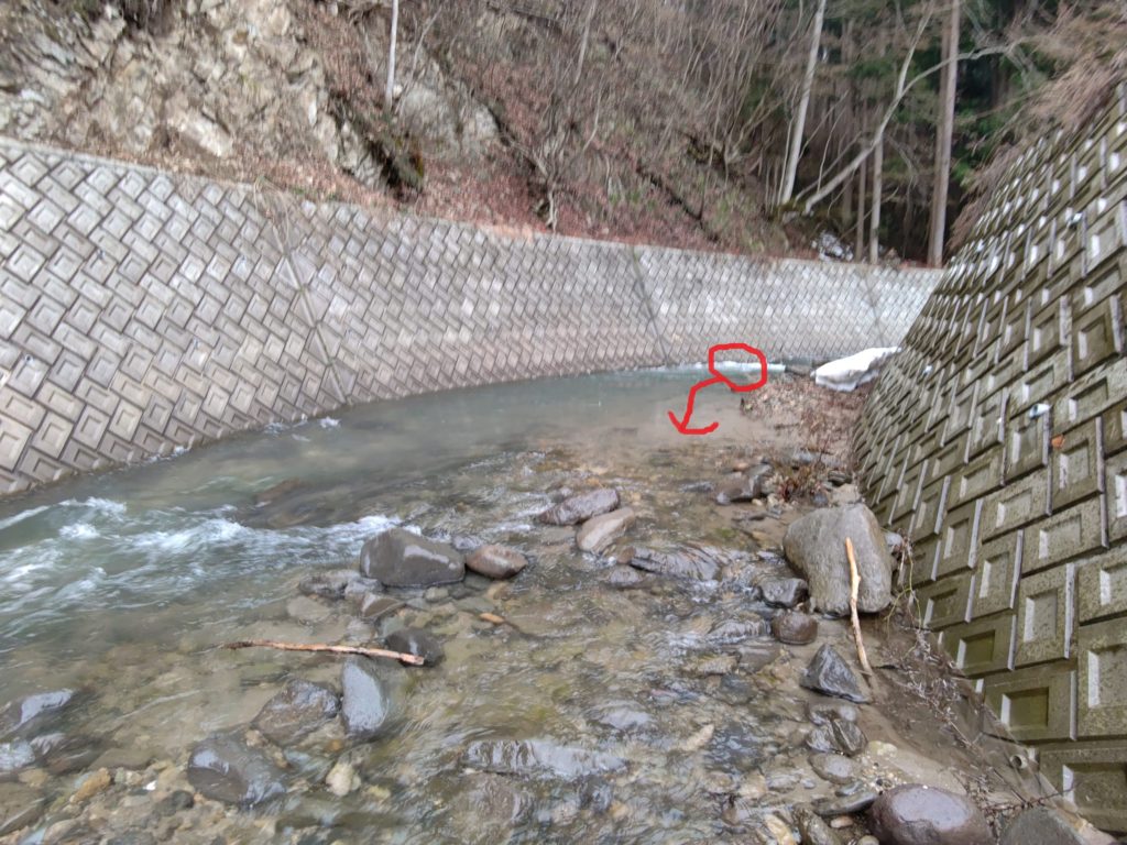 秋田の川で岩魚釣り