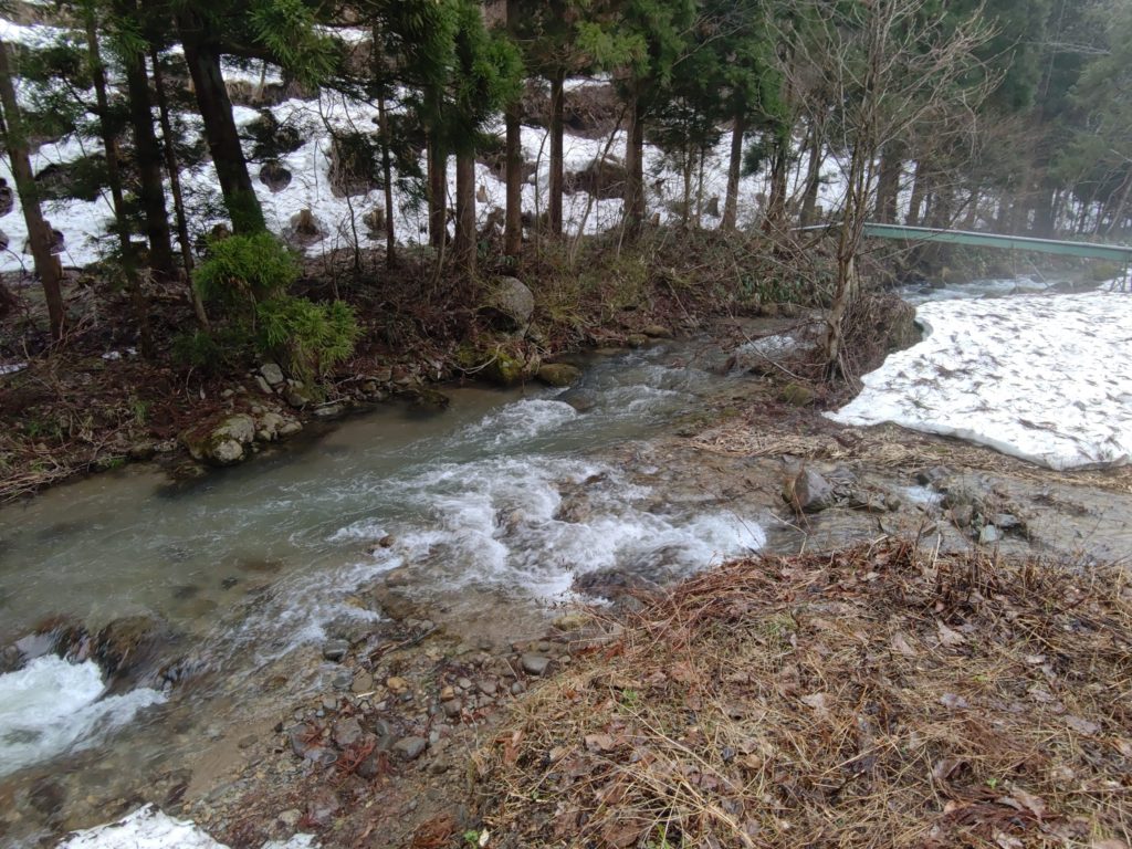 渓流の合流地点