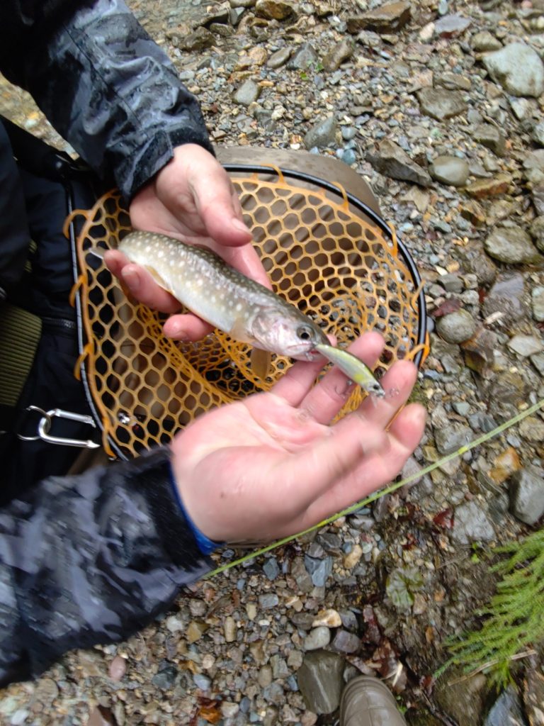 ルアーフィッシング初心者の渓流初ヒット