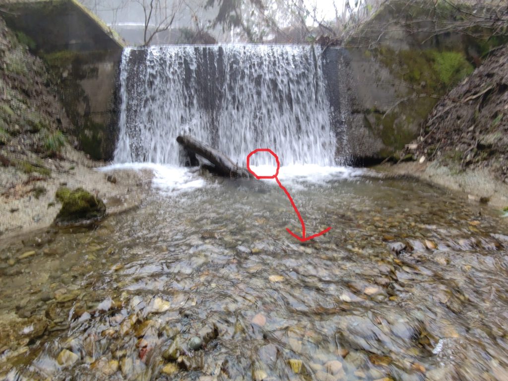 堰堤で岩魚のバイト