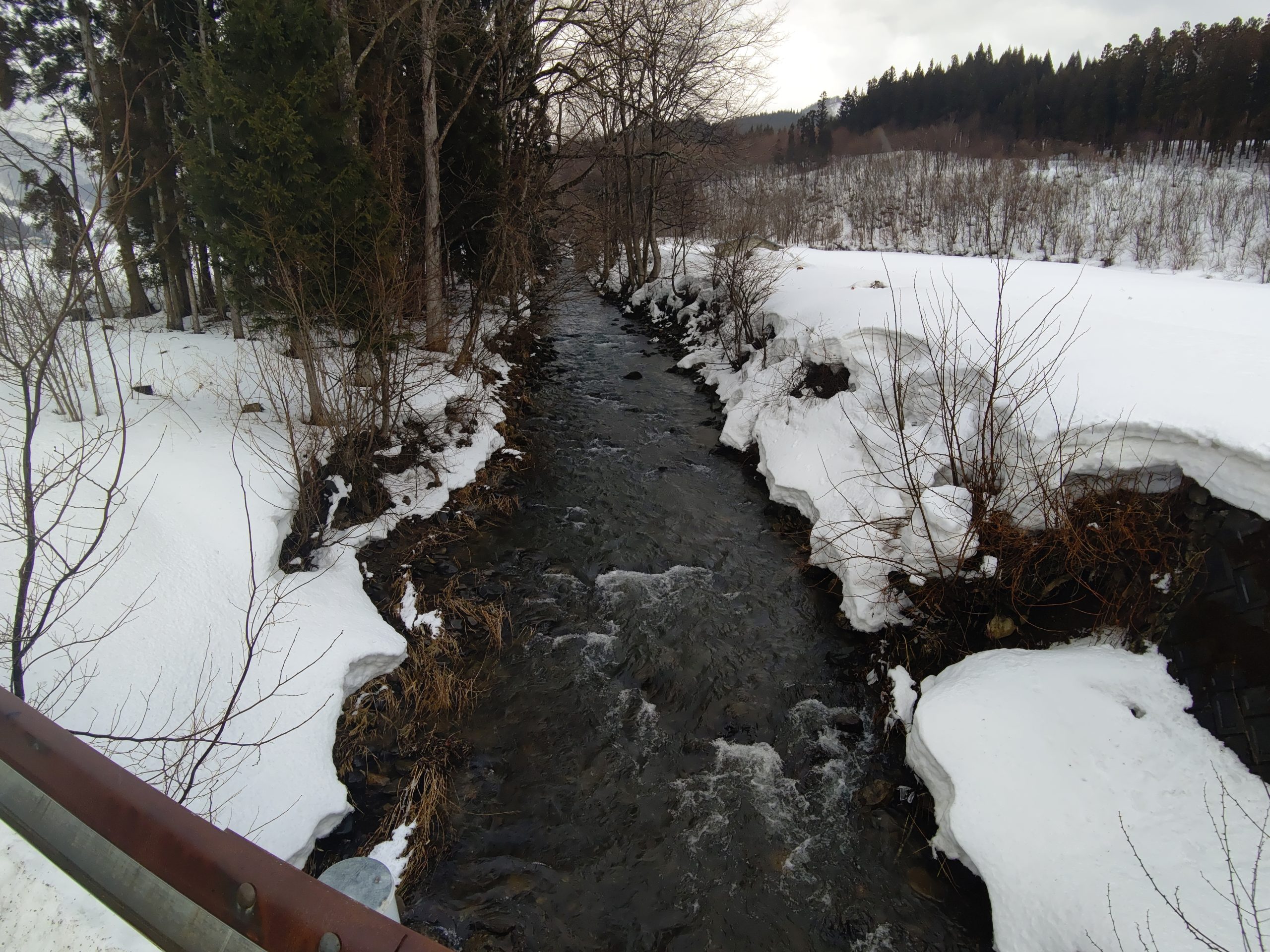 3月の渓流の早瀬
