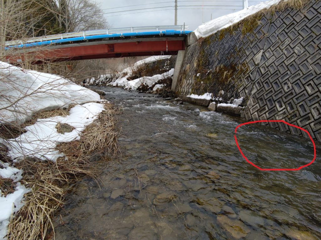 渓流釣りの3月におけるポイント