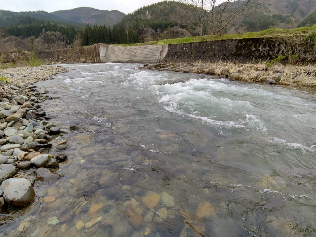 増水の渓流で岩魚のバイト