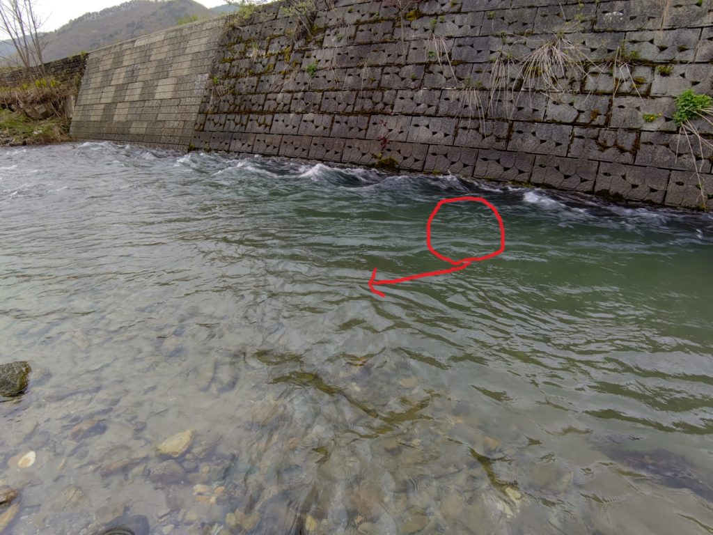 激流でクロスキャスト