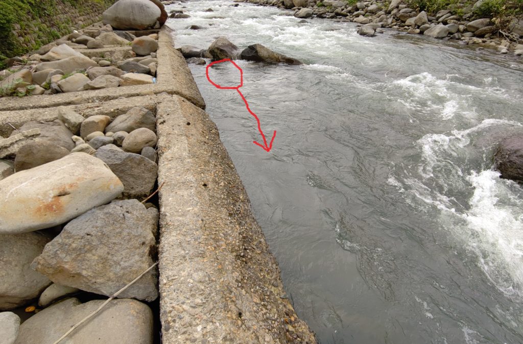 コンクリ脇の岩魚のヒットコース