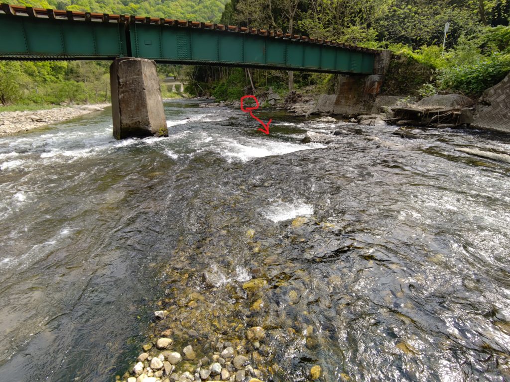 橋の下の米代川