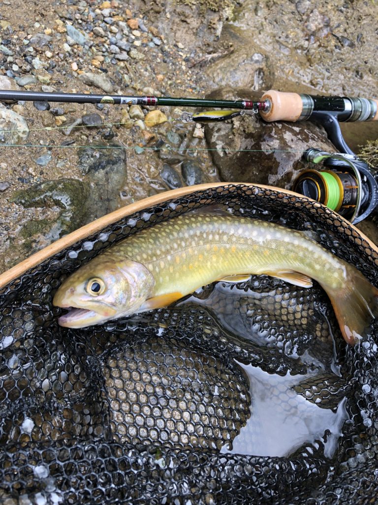 渓流タックルと泣き尺の岩魚