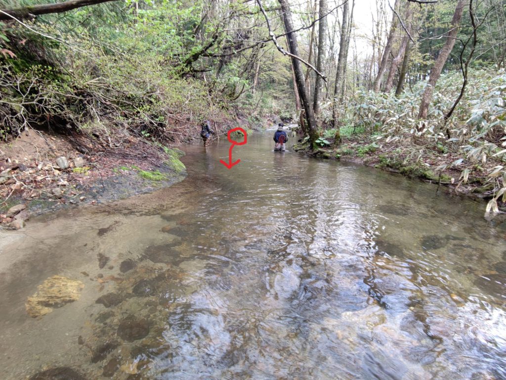 ルアーフィッシングでトロ場を攻略