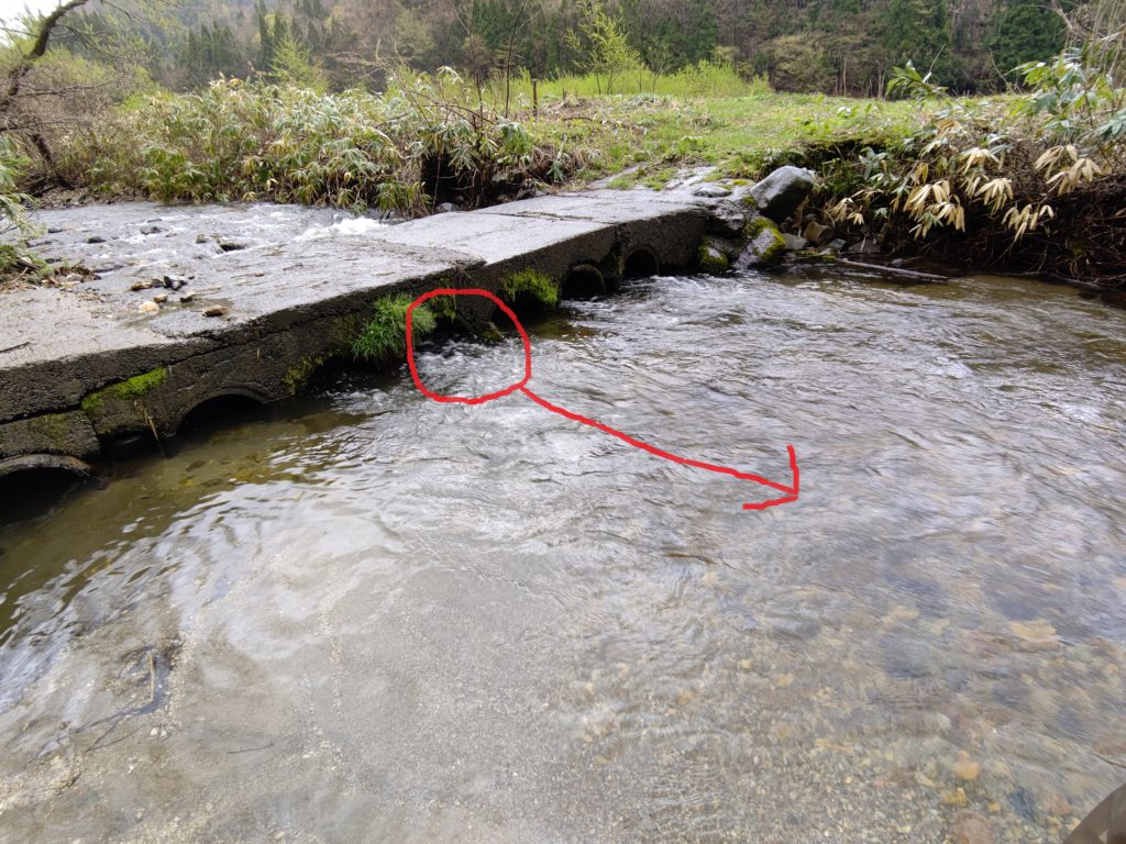 渓流の小さな橋の下の流れ込み