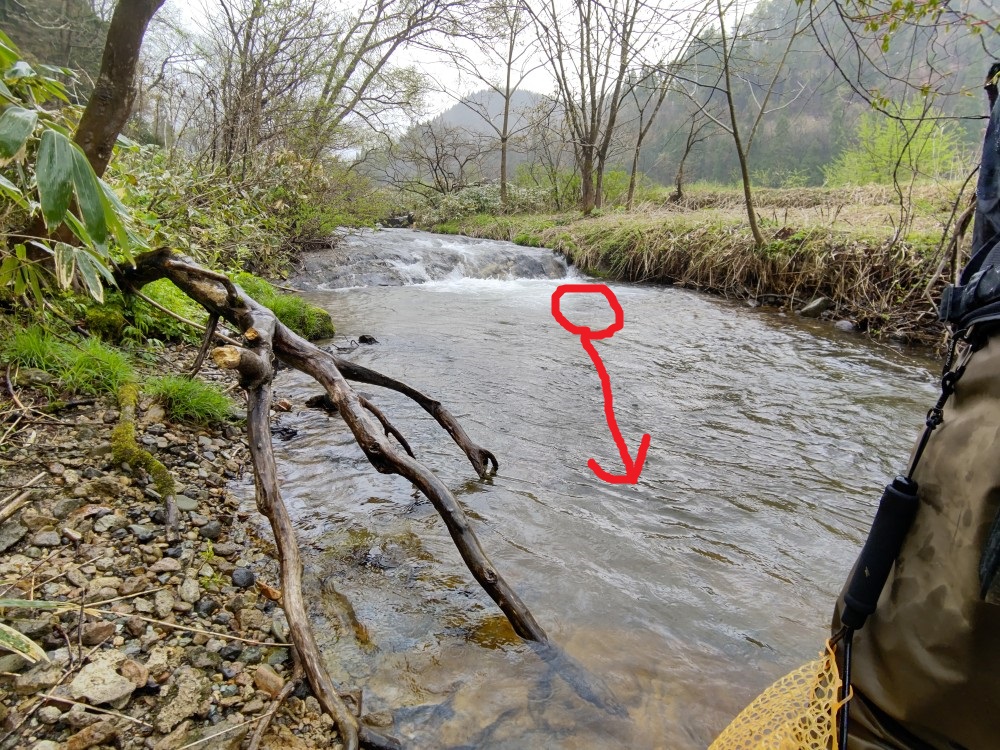 秋田の渓流の落込み