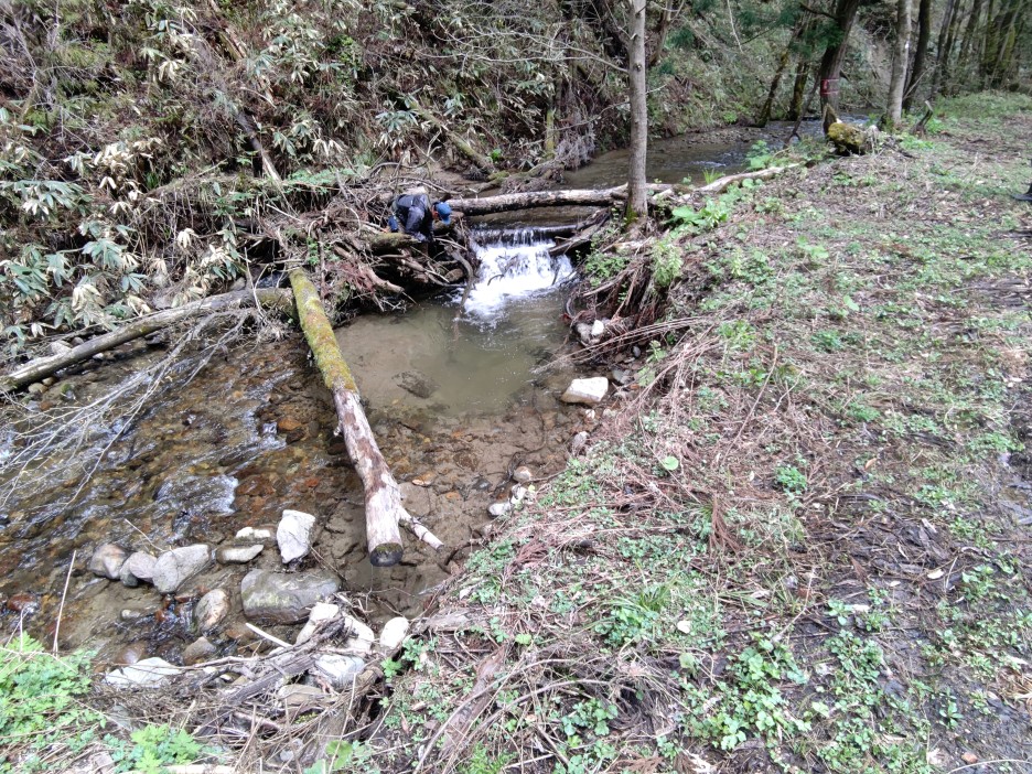 秋田の上流域の渓流の小さな落込み