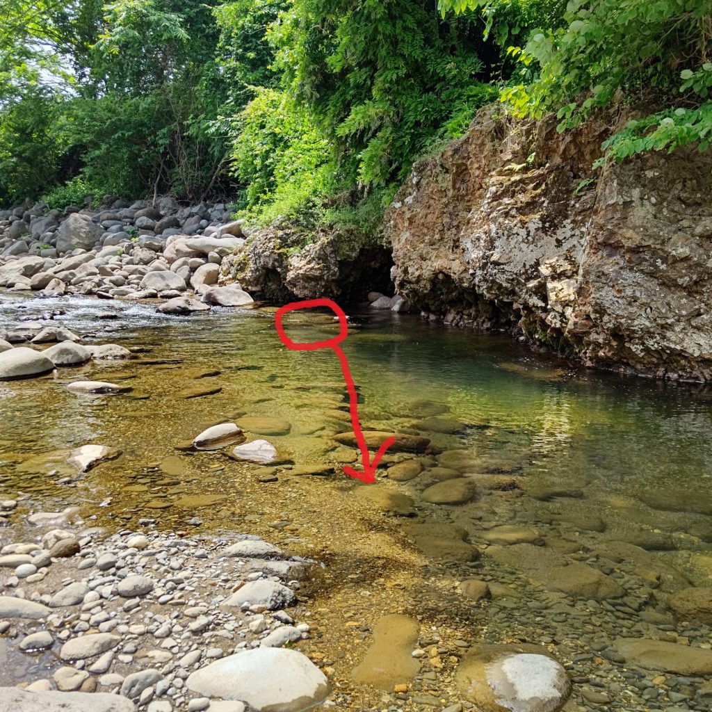 渇水の渓流の淵