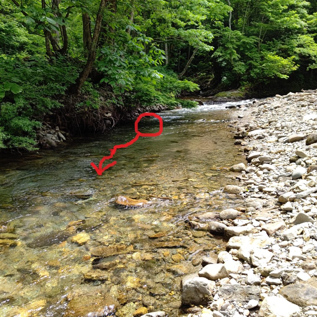 米代川上流域の瀬