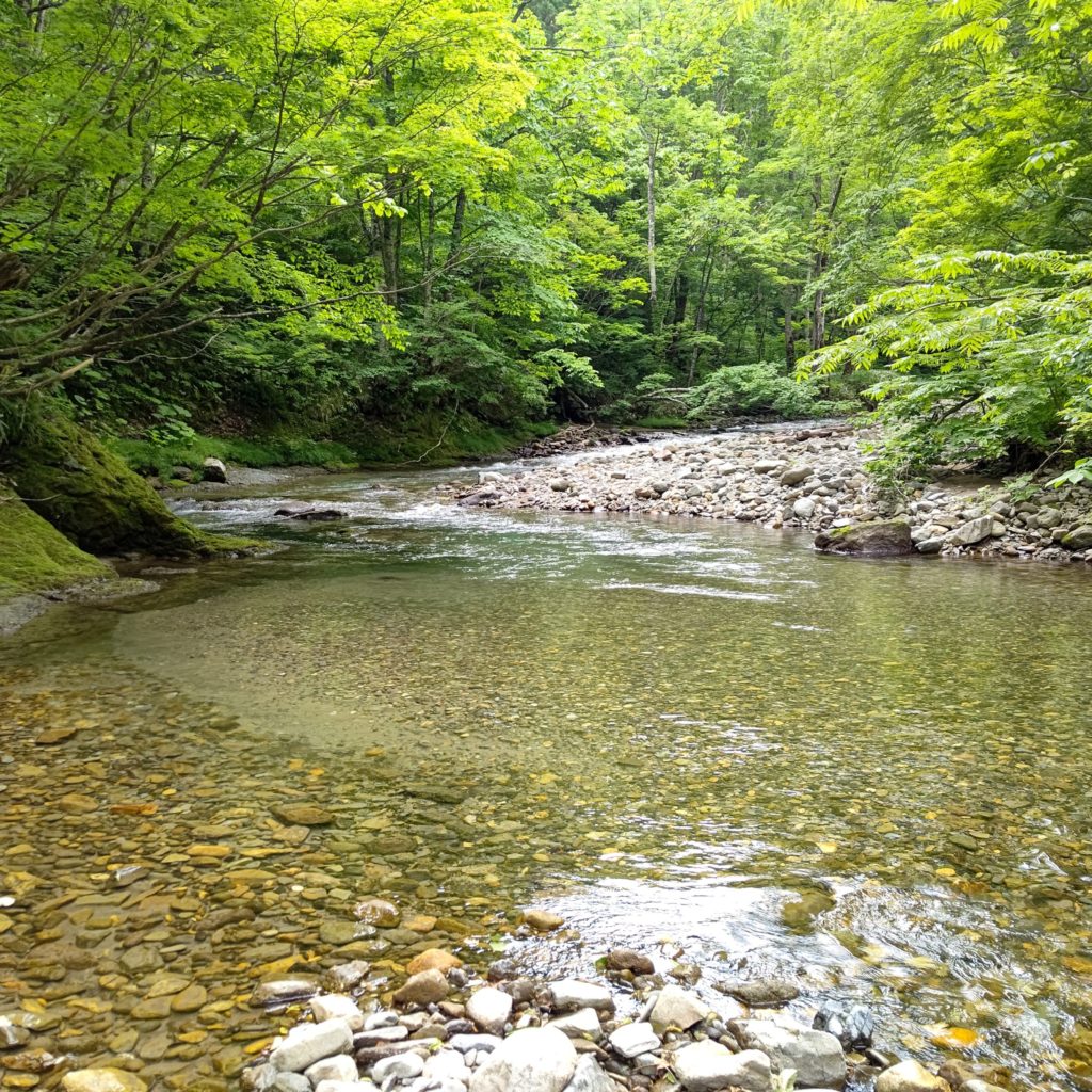 米代川の支流域の上流部