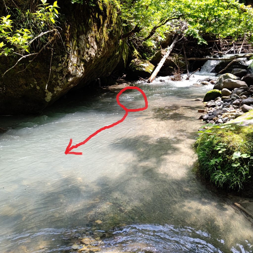 濁りの強い渓流での岩魚のヒットコース