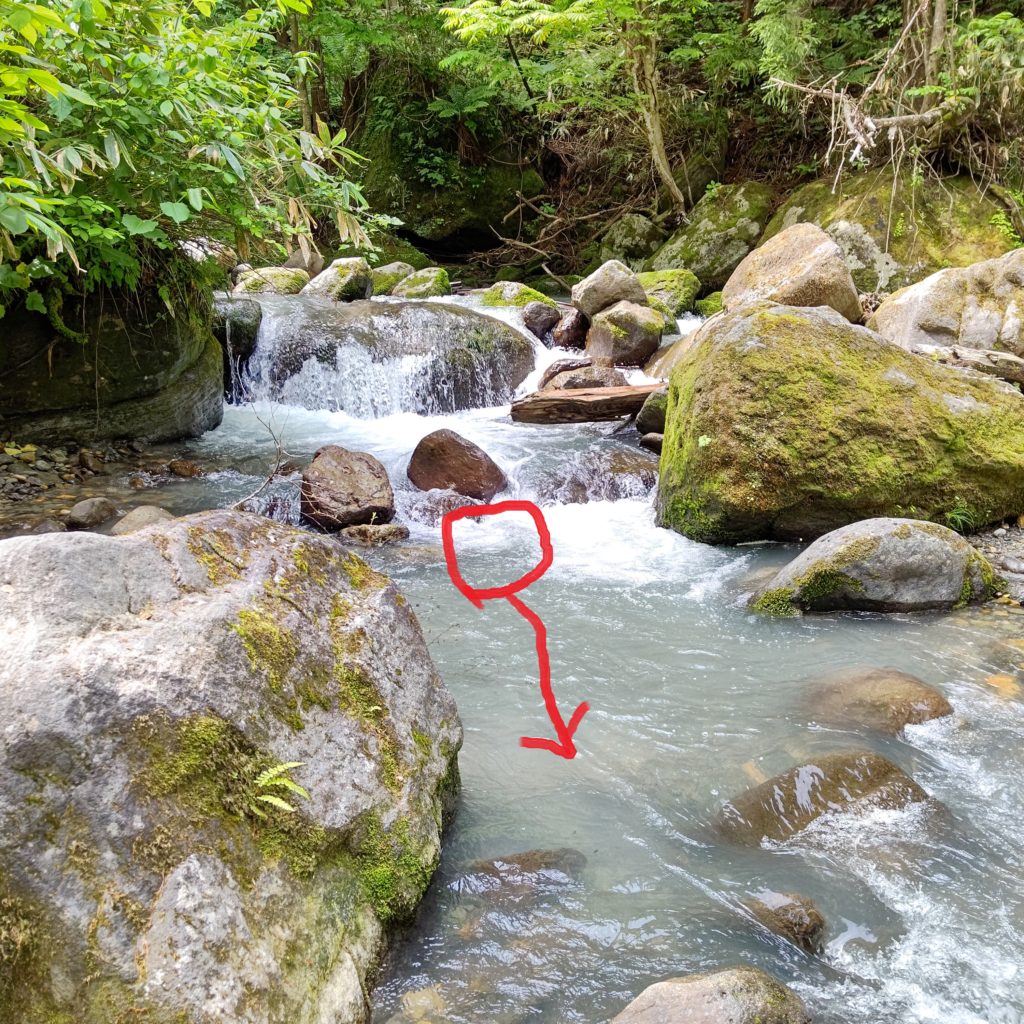 濁りの強い渓流の落込み