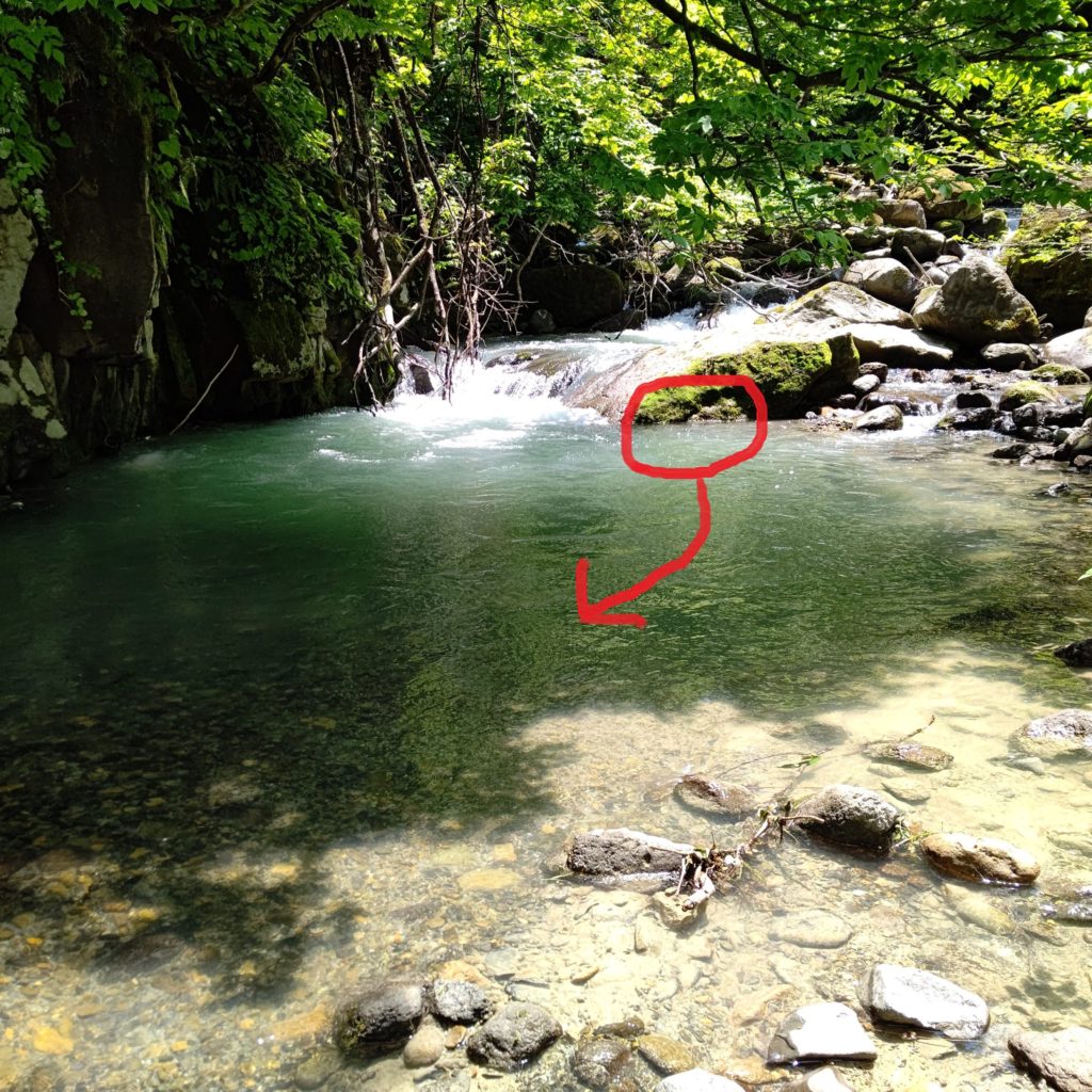 米代川の支流上流域の岩魚のヒットコース