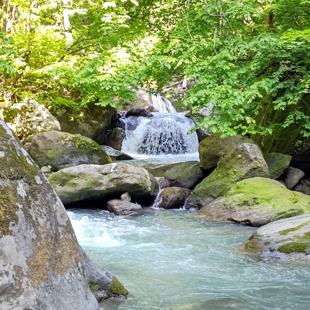 岩魚の棲む渓流