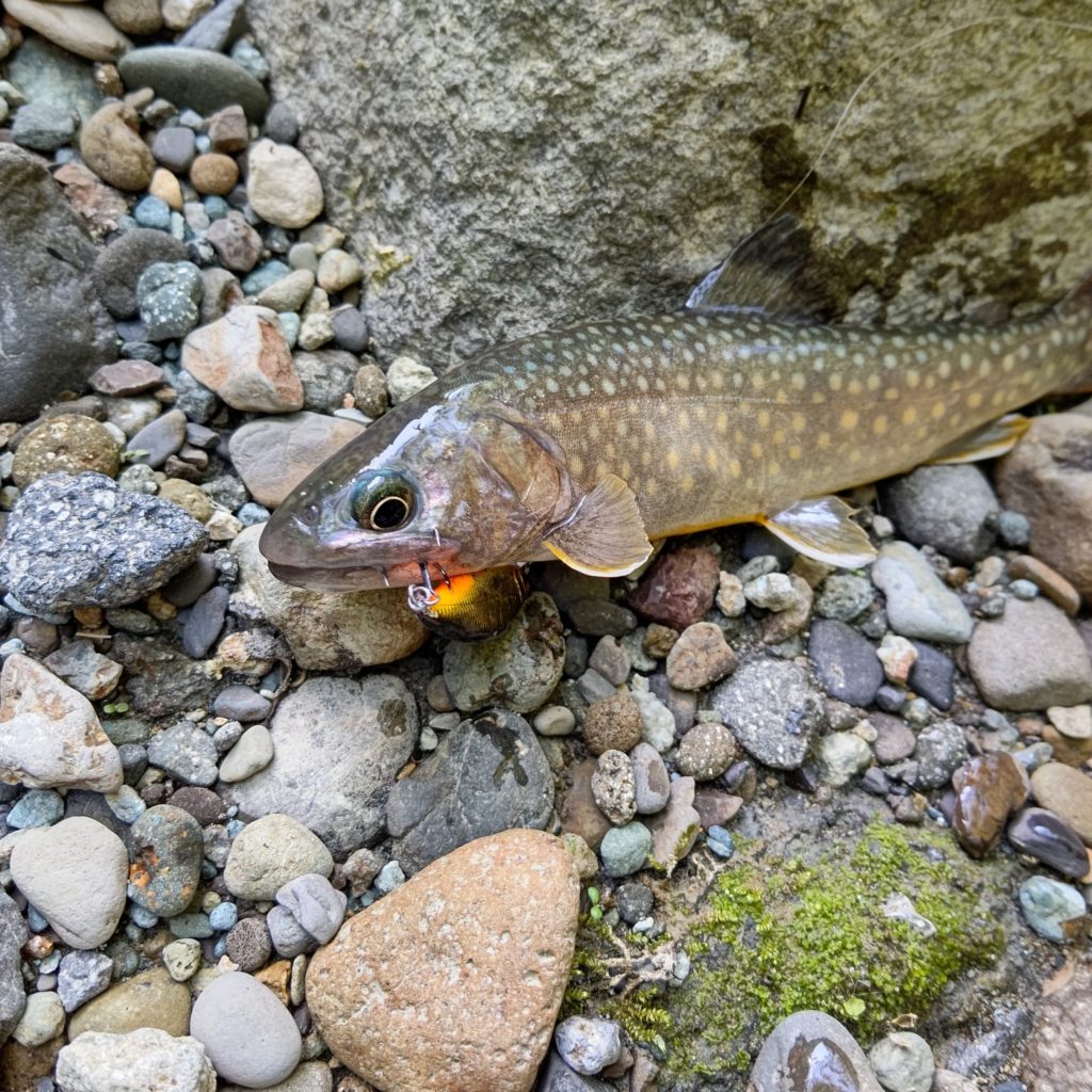 グレートハンティングと岩魚