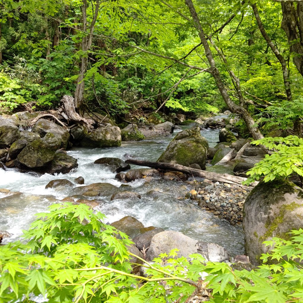 流れの激しい渓流