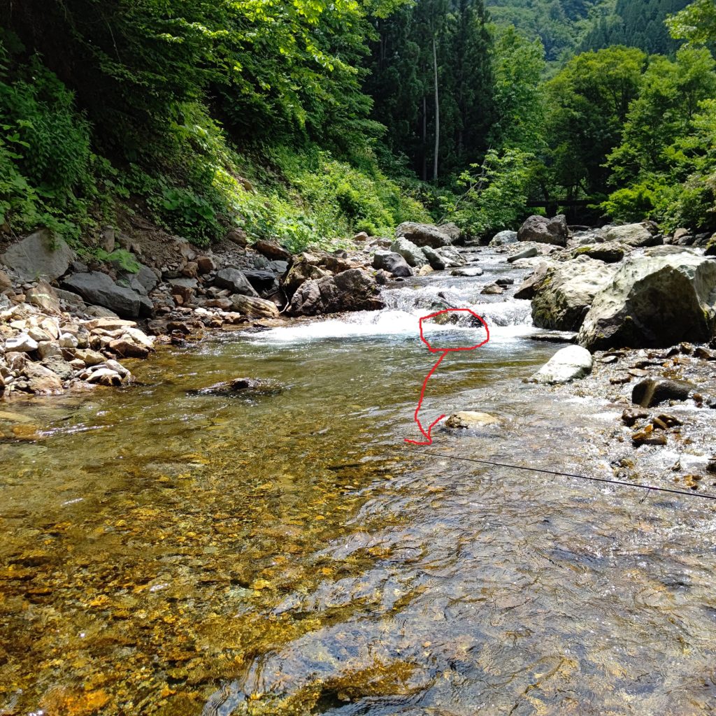 山岳渓流でイワナのヒットコース