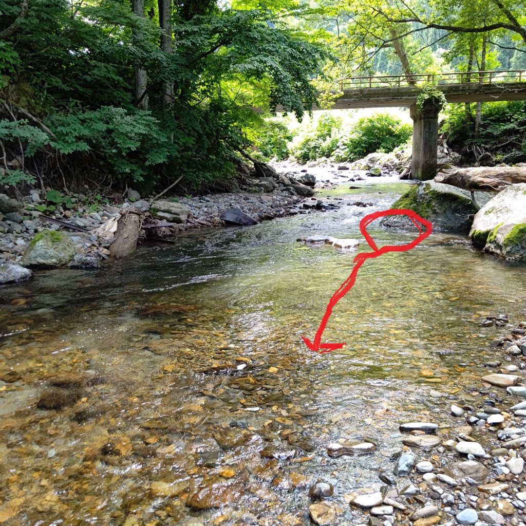 岩の脇からのイワナのヒットコース