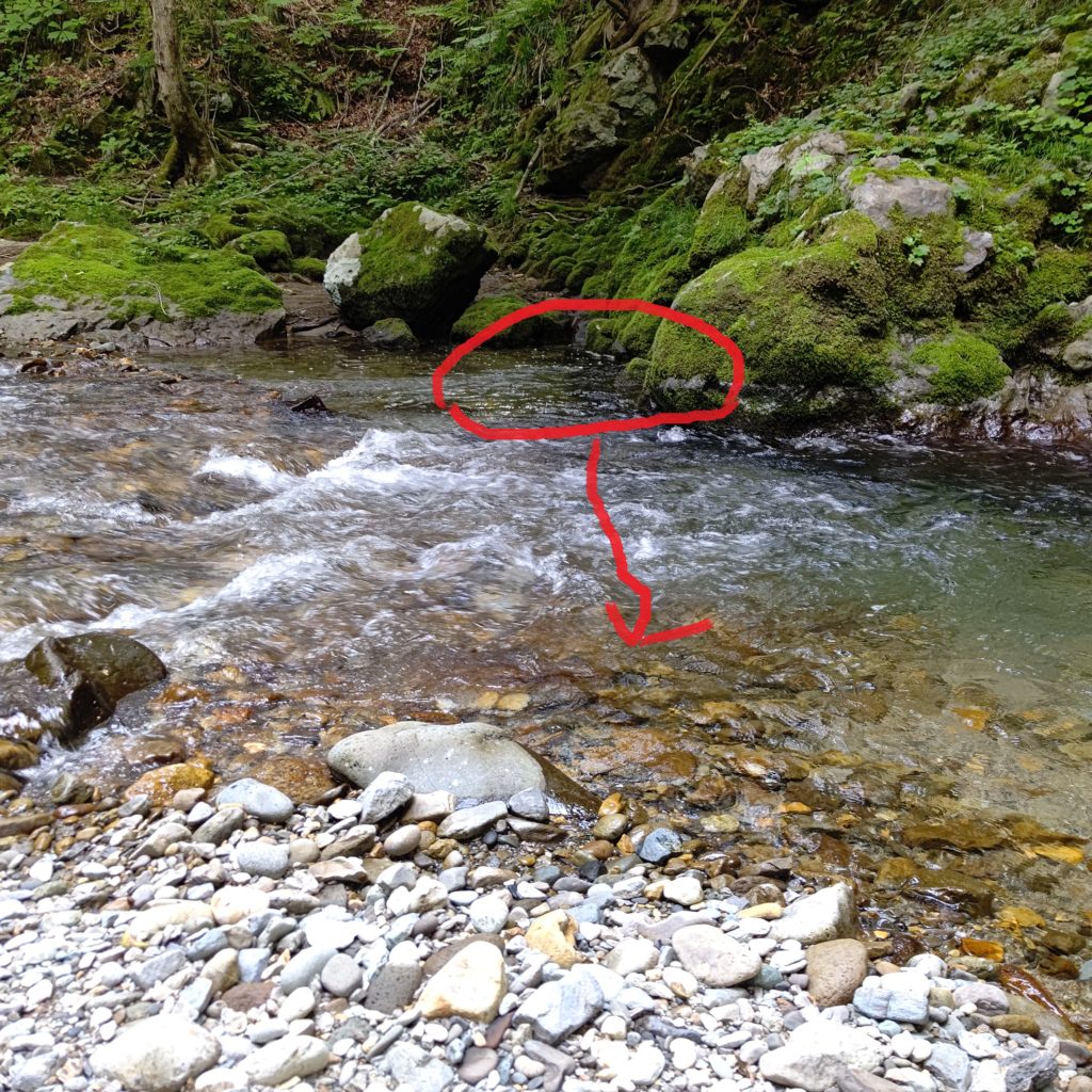 クロスキャストでの岩魚のヒットコース