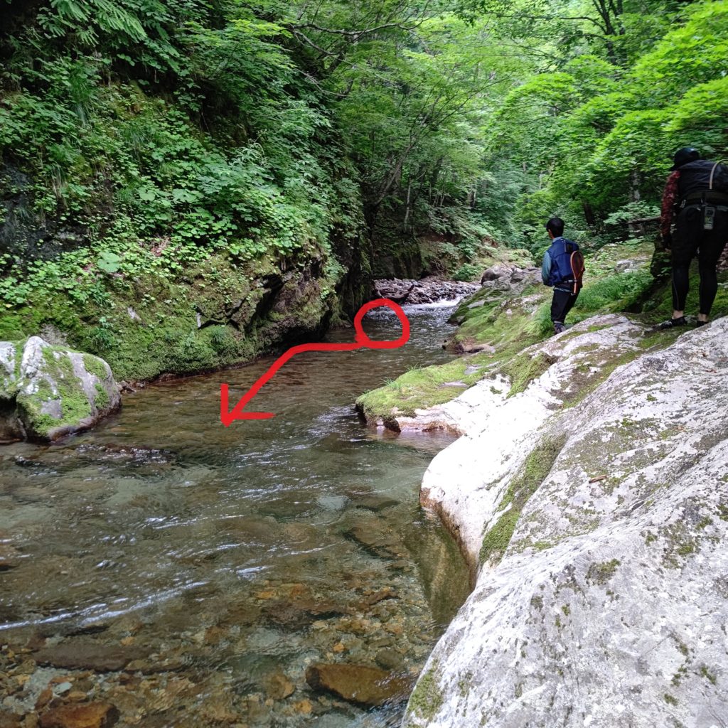 ゴルジュ帯でのロングキャストからのイワナのヒットコース