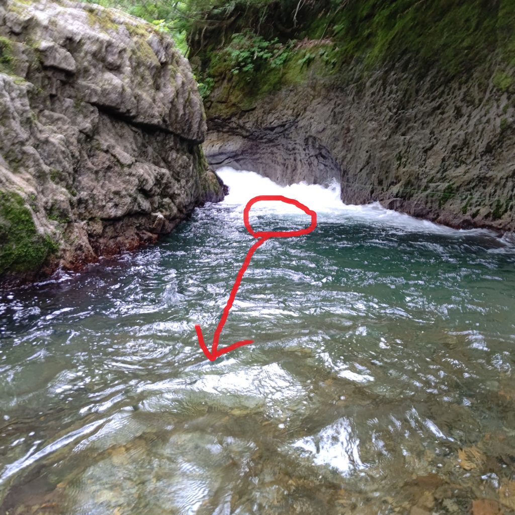 流れの強い落ち込みで尺イワナのヒットコース