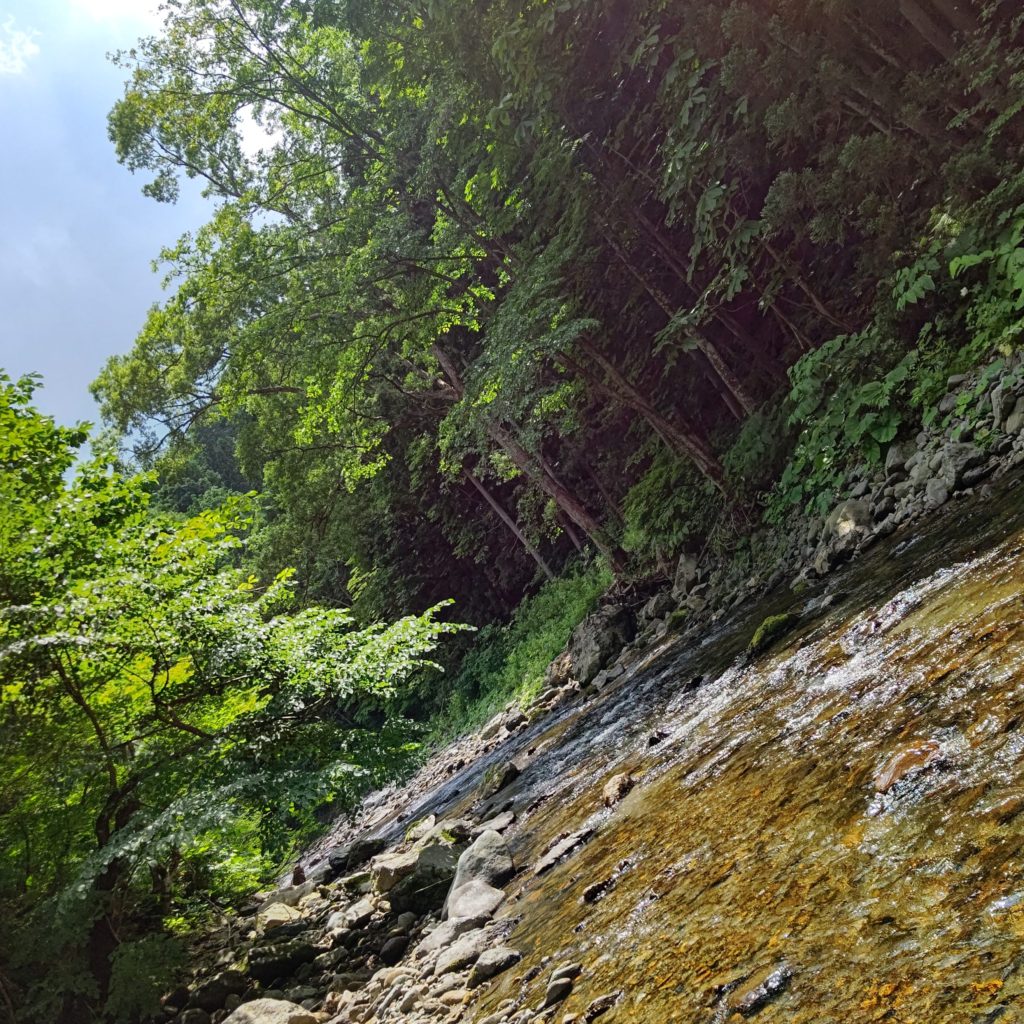 秋田でルアーフィッシング