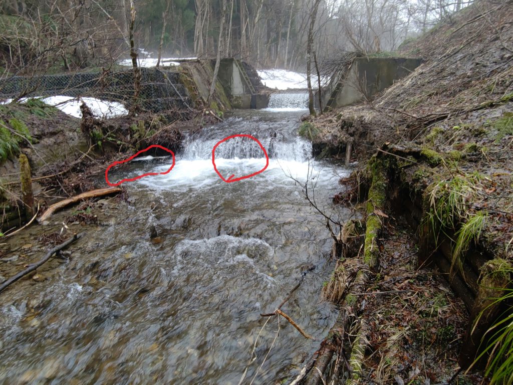4月の渓流釣りのポイント