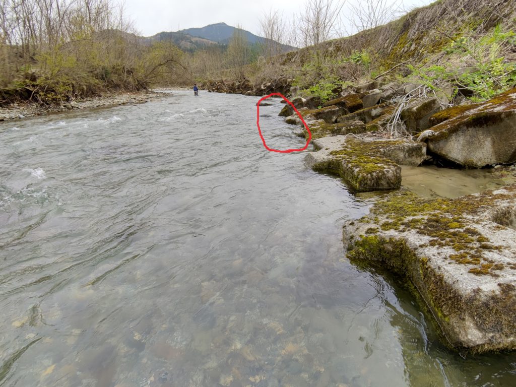 渓流釣りにおける狙うべきポイント
