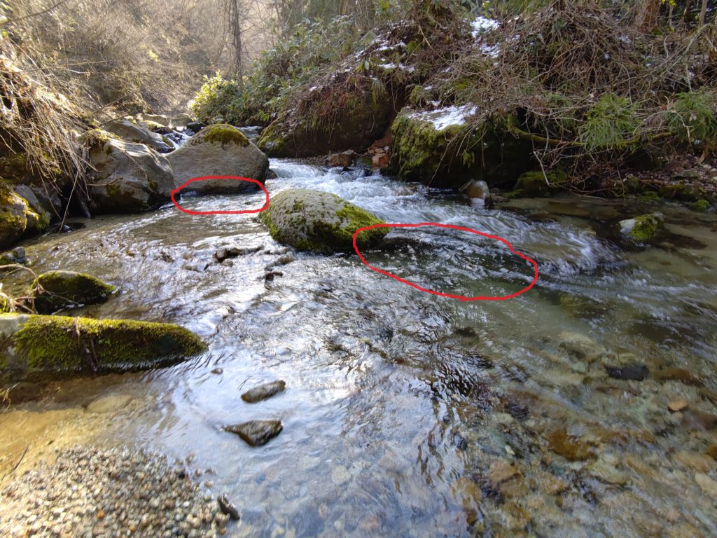 ルアーフィッシングにおける渓流のキャスト位置