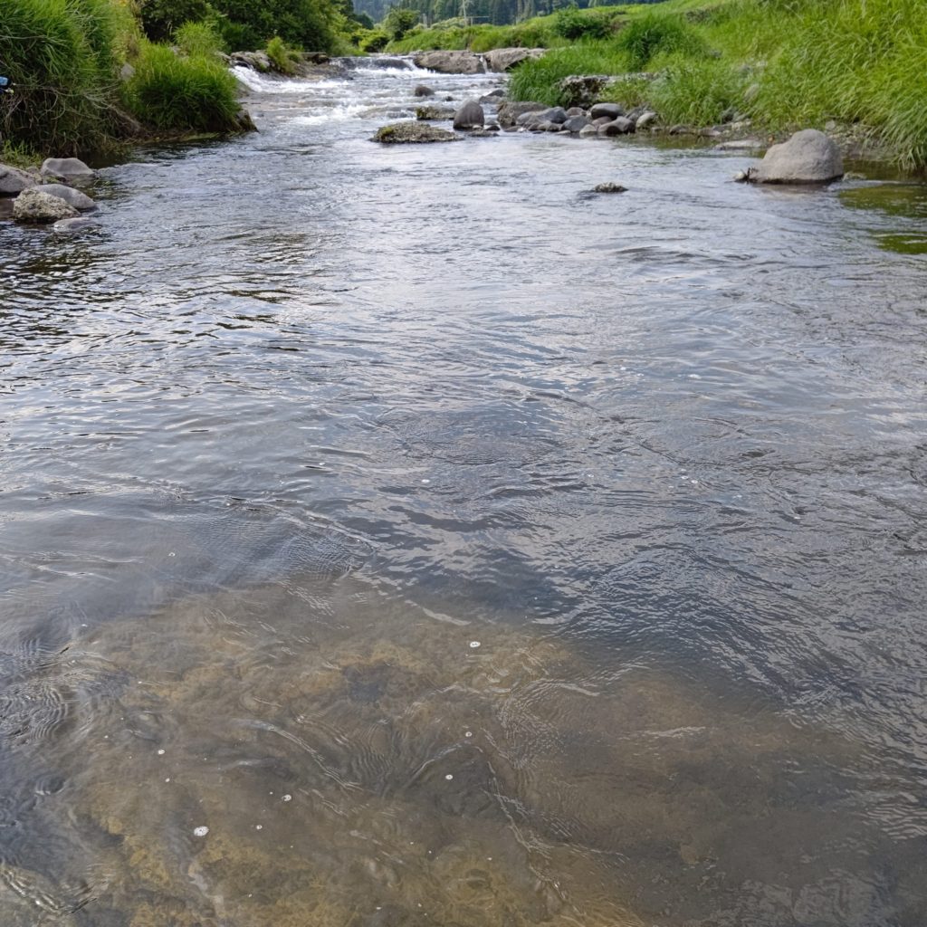 里川でヤマメをルアーでヒット