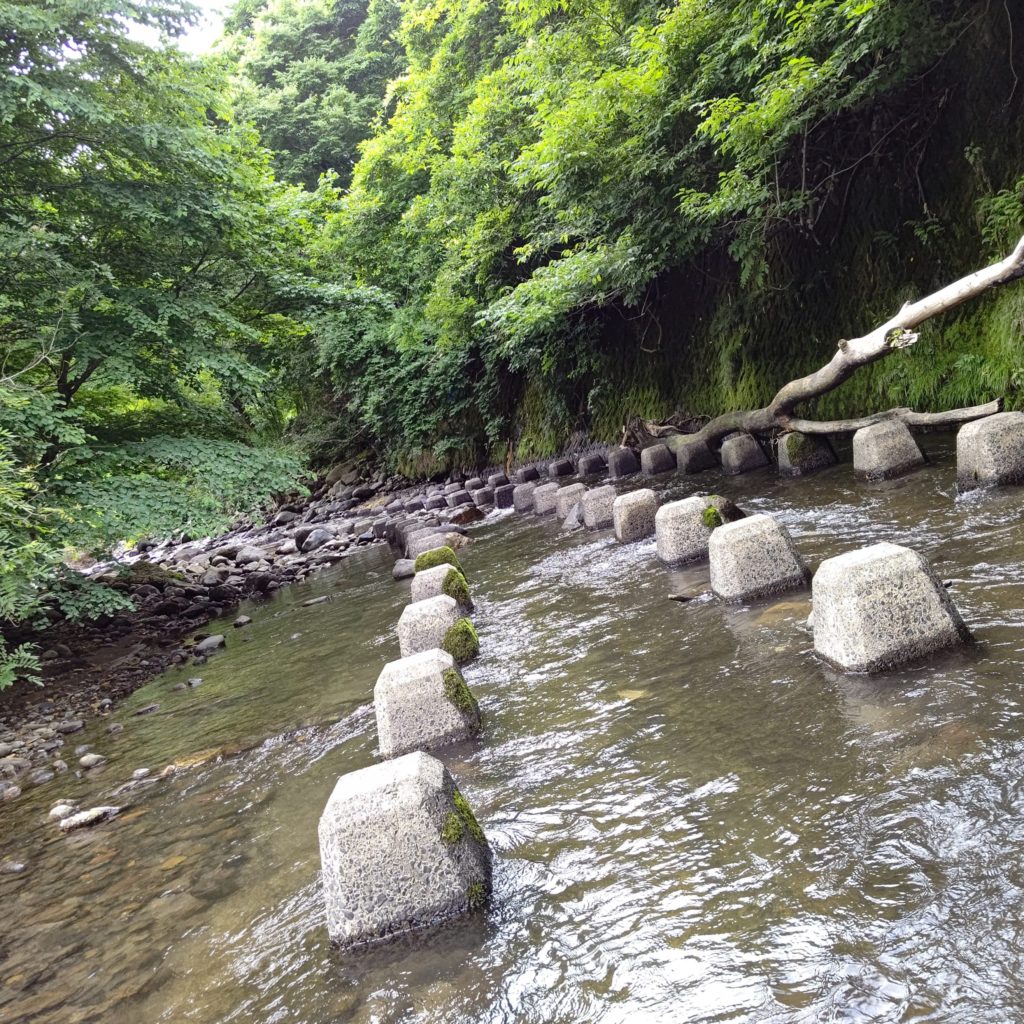十和田湖付近の渓流でルアーフィッシング